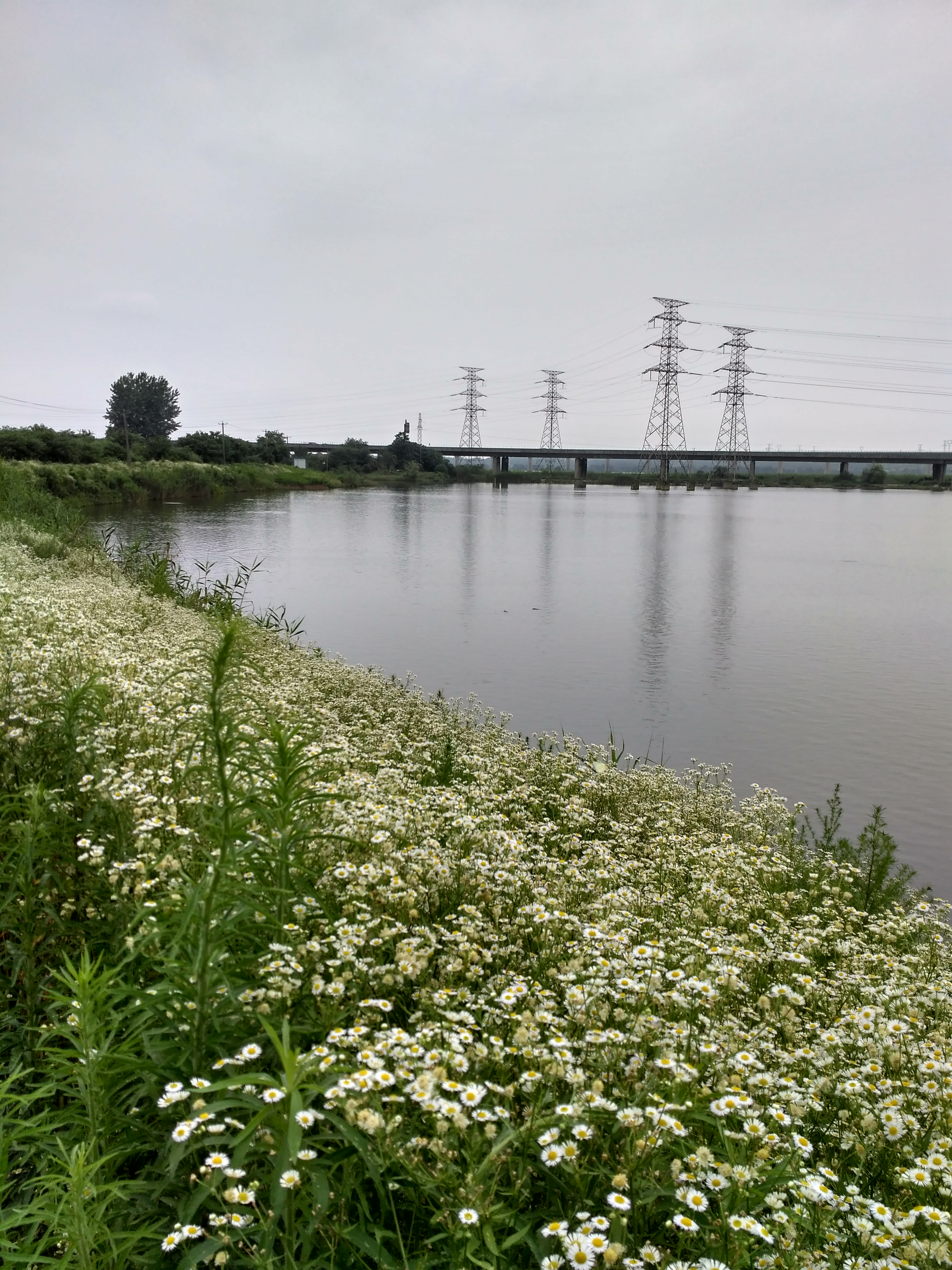 齐春生态园大概花多少钱,贵池齐春生态园