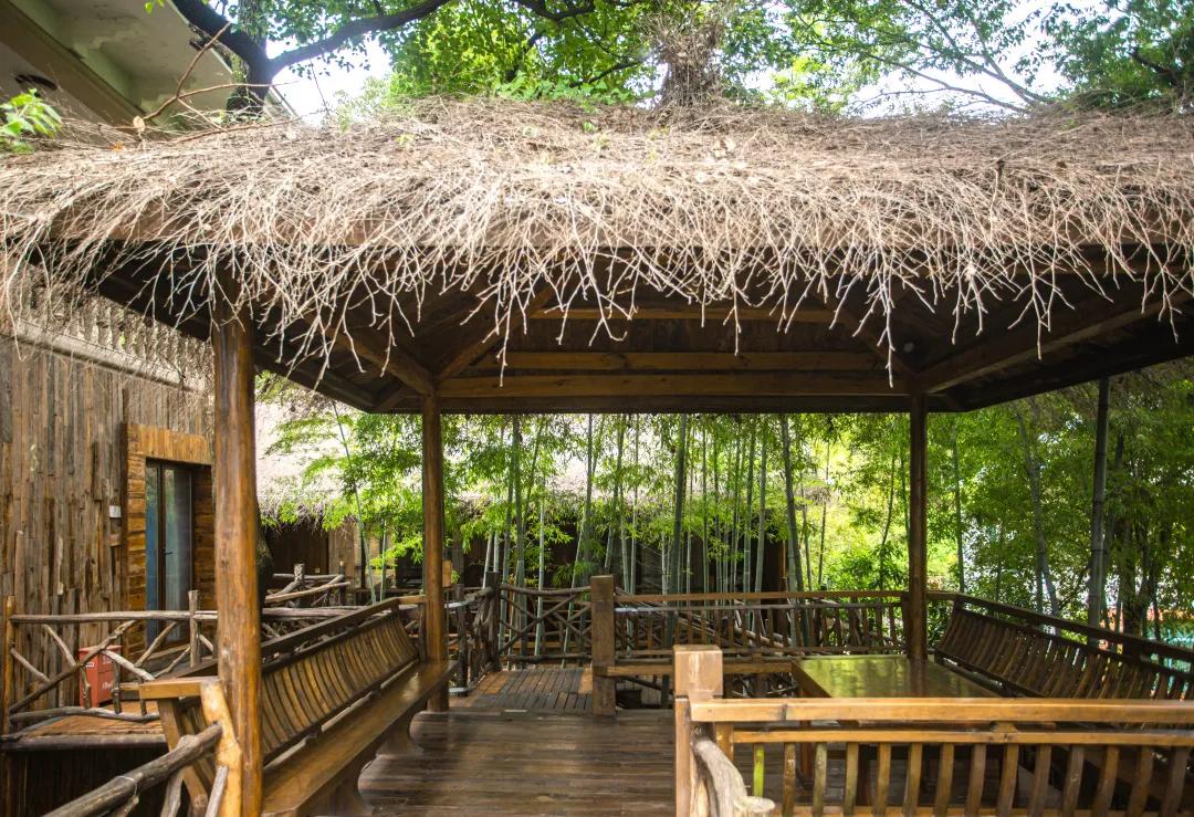 莫干山原木风绿野仙踪花园民宿,莫干山桃坡探险乐园绿野仙踪