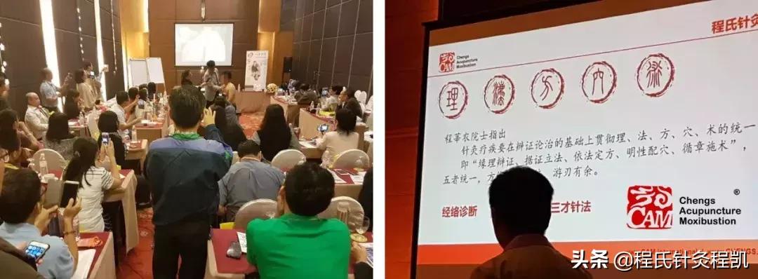 程莘农三才针法,程莘农程氏三才针法