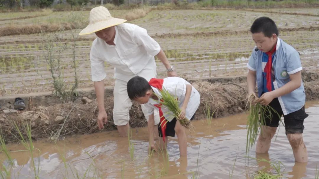 离开体制后创业,离开体制创业成功的企业家