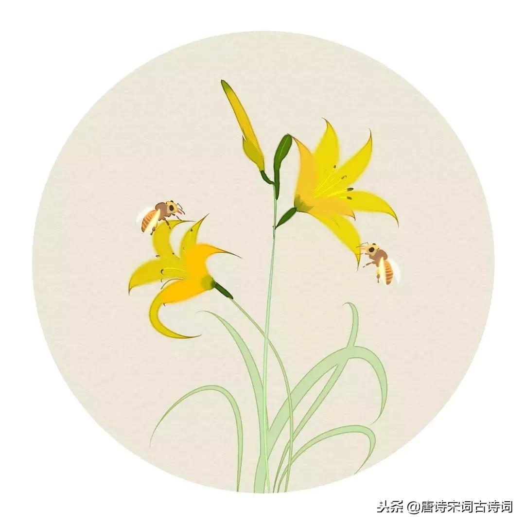 经典虞美人十首,最美虞美人十首