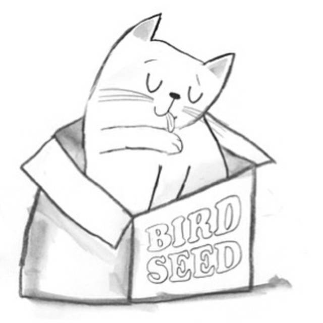 姑娘1天画1只猫坚持了100天 (坚持画猫100天的姑娘太有才了)