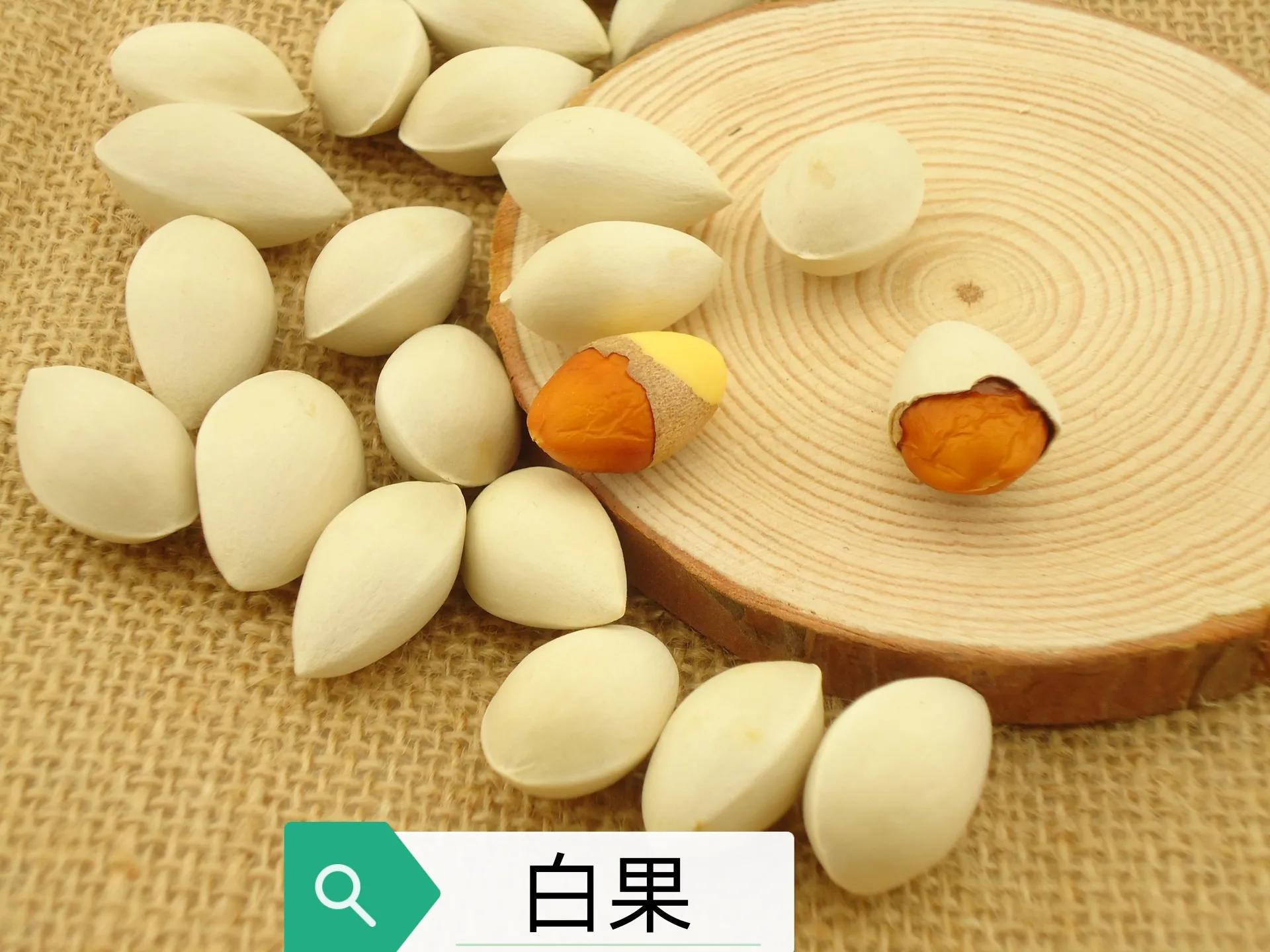 中药古今研究桑寄生,关于中草药银杏的功效