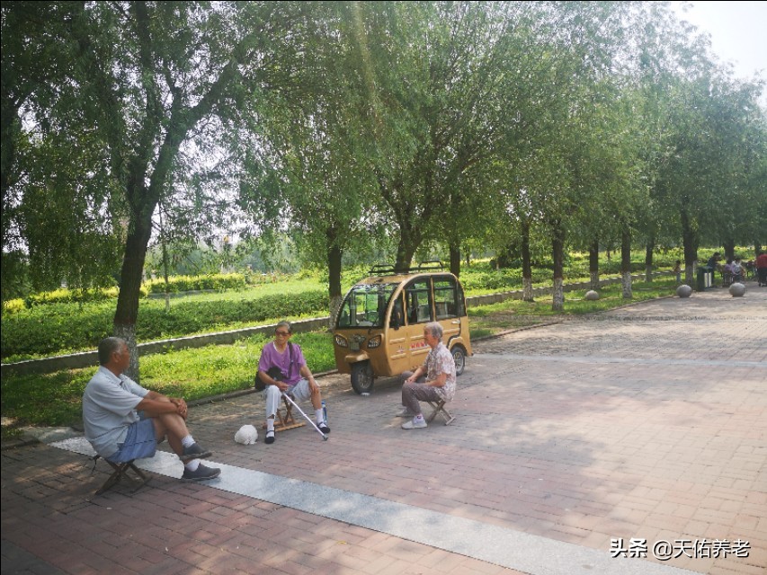 养老那些事儿告诉我们什么,养老那些事儿完整版