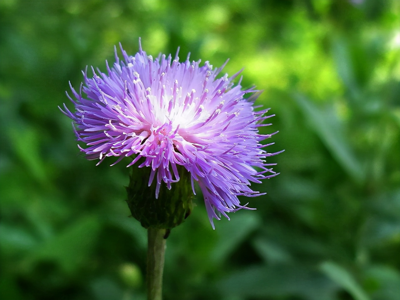 2020年3月9日新闻一分钟知晓天下,2020年3月14日新闻要闻精选