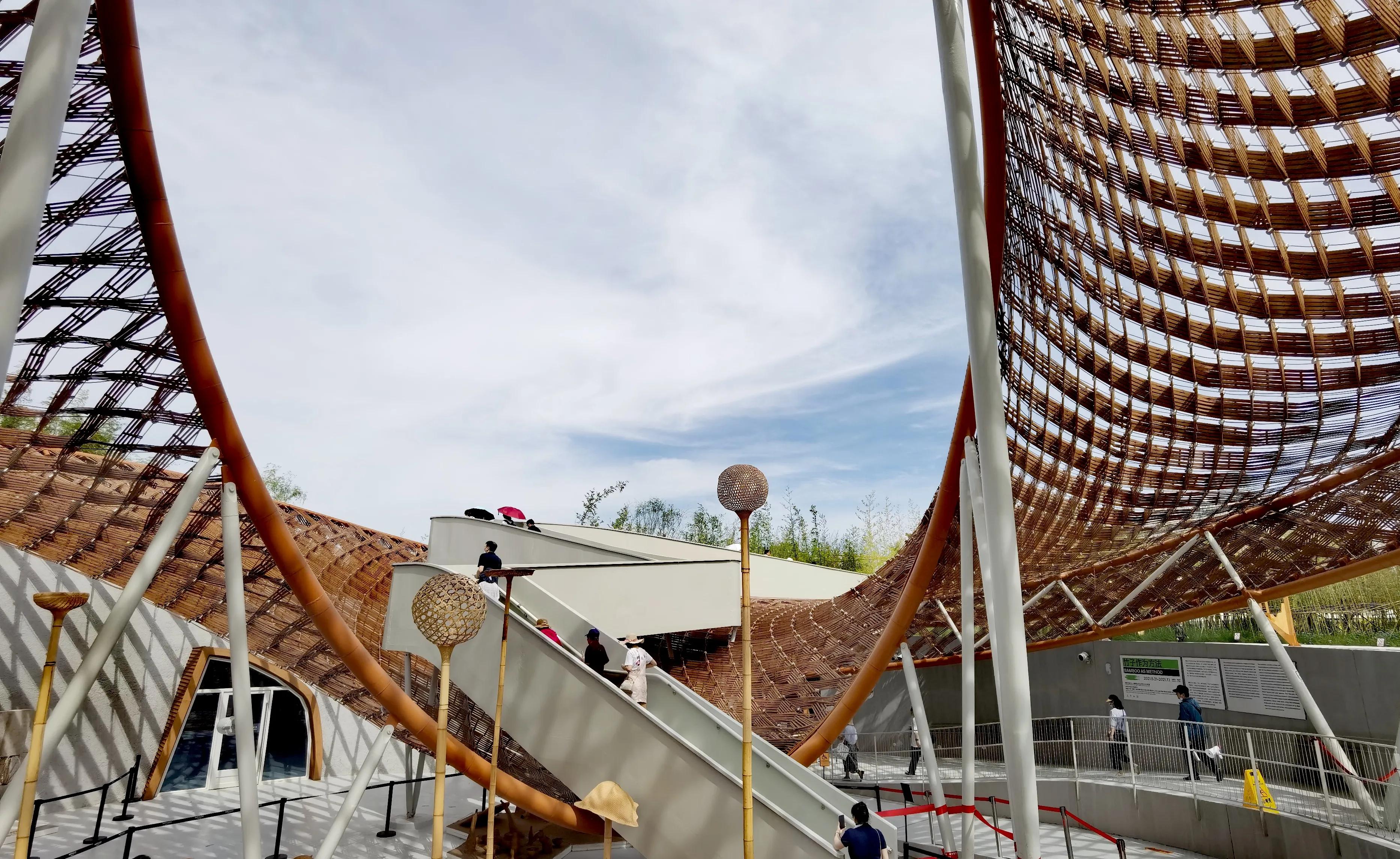 关于崇明花博会,崇明花博会全程花景