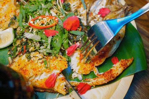 西双版纳风景之旅自由行旅游攻略,邂逅雨林西双版纳秘境之旅