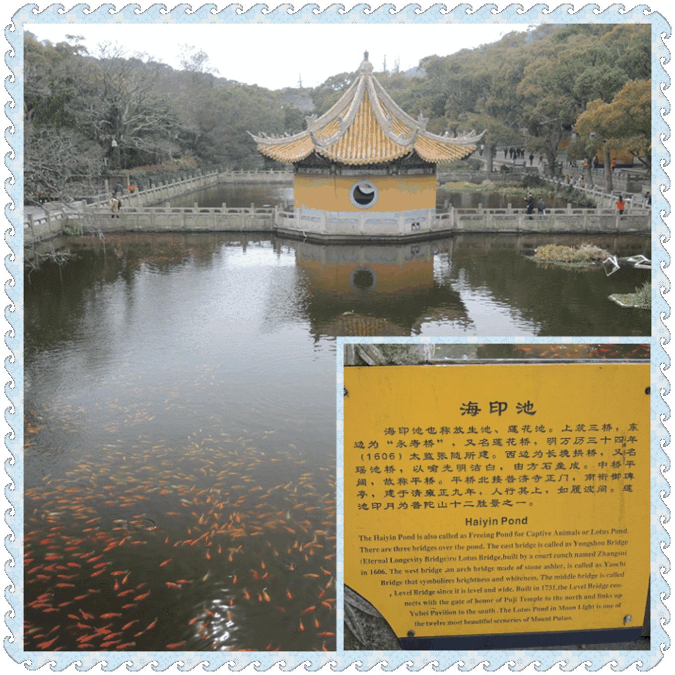 自助旅行普陀山,普陀山旅行