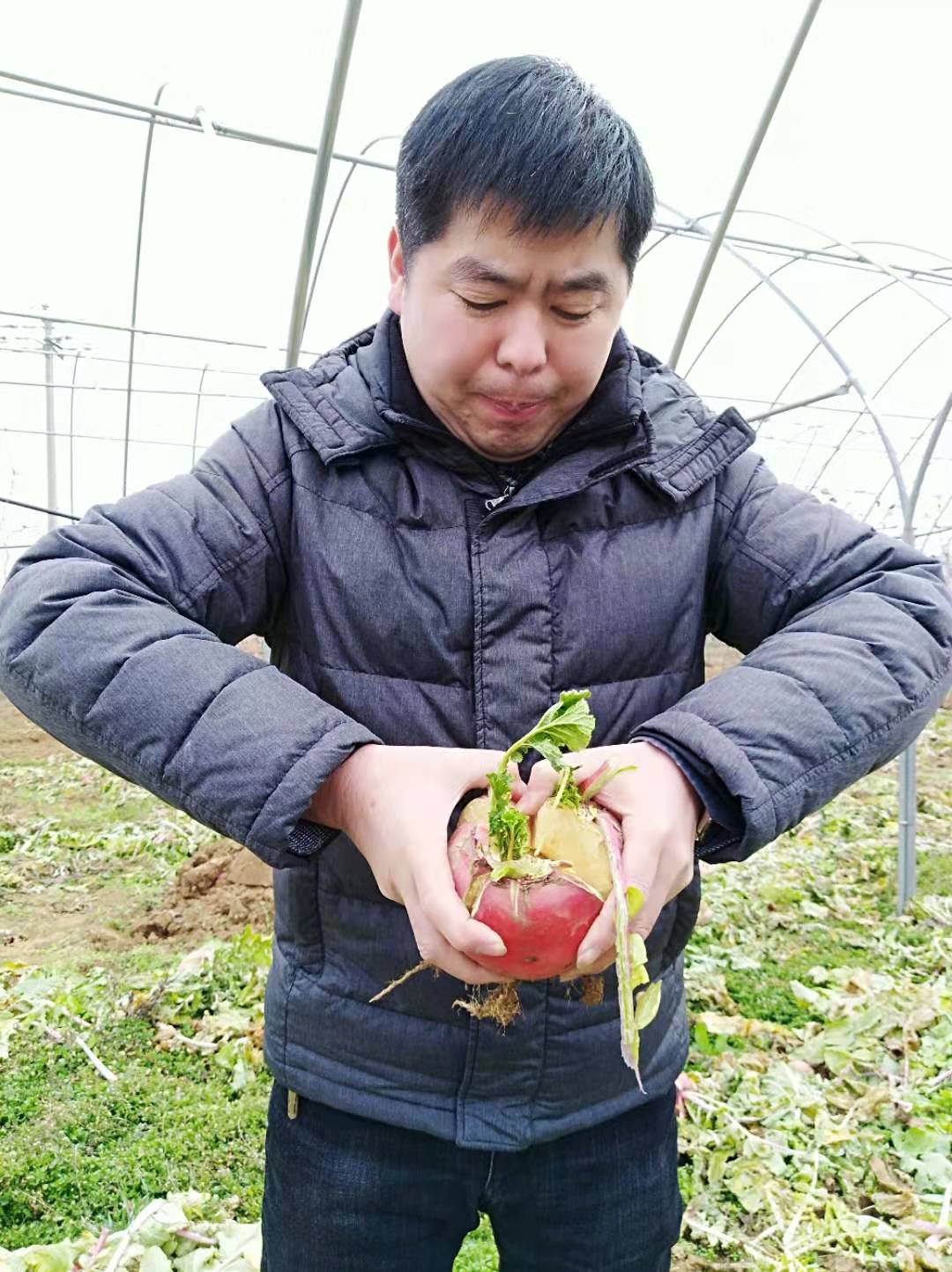 农村生活新鲜采摘纯天然绿色蔬菜,自家菜地里采摘天然无公害的蔬菜