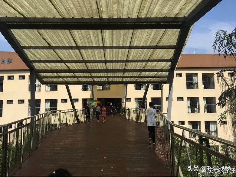 重庆这所中学堪称“低进高出”的典范,升本率高达38%