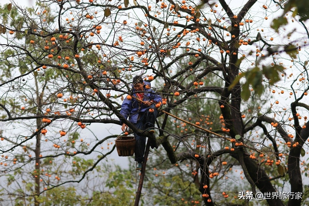 罗田三里畈温泉几点入场,三里畈温泉时间