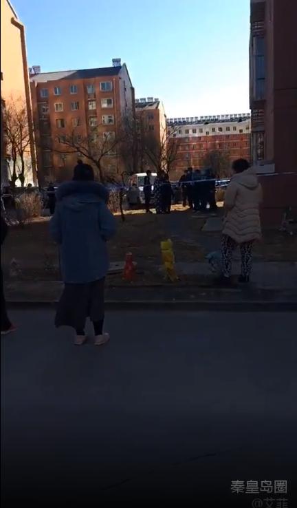 秦皇岛市海悦公馆坠楼事件,秦皇岛团结里坠楼事件
