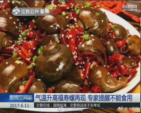 这种螺千万别吃,什么螺吃了会头晕
