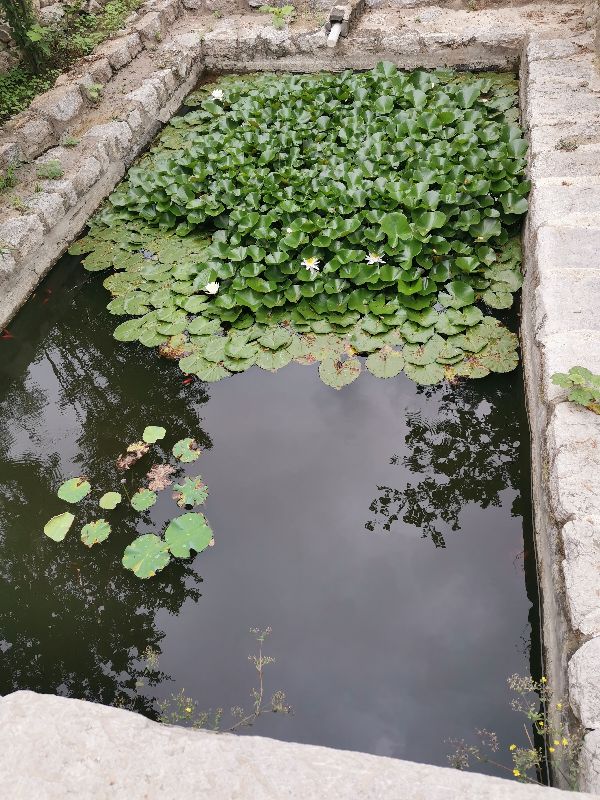 秦皇古驿道~~偶游,不一样的历史,不一样的感触