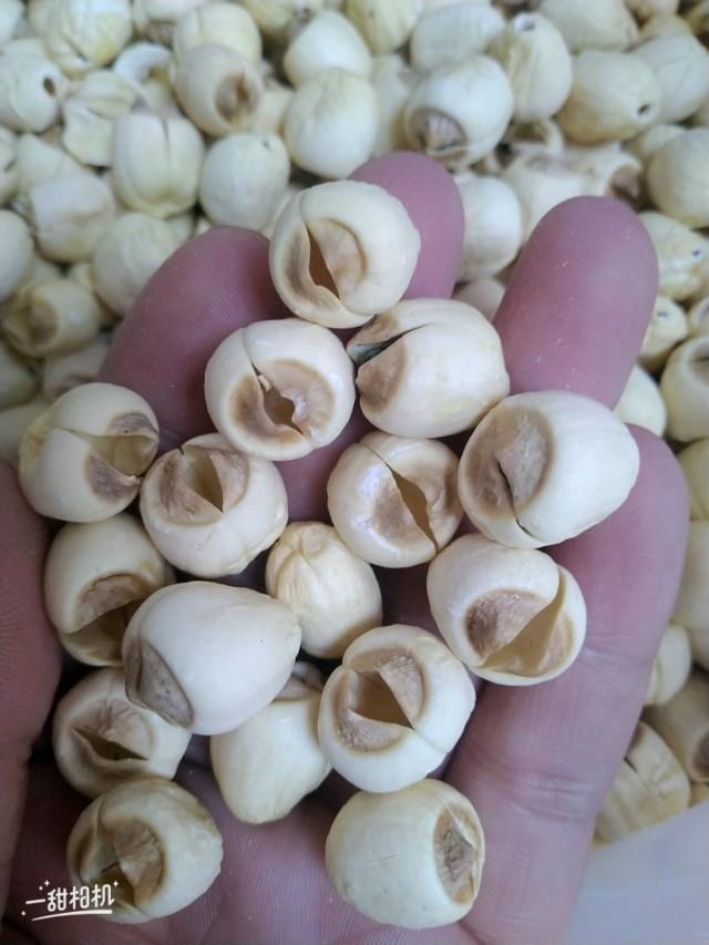 千万别上当假藕粉,如果买到假莲子粉怎么办