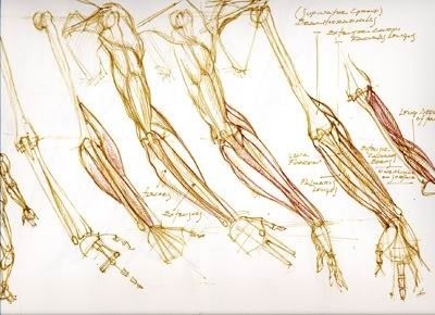 透视表现空间的基本方法,透视解剖学原理书籍