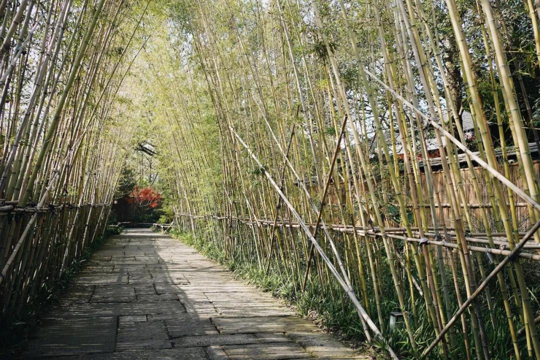 打卡南京西路新荣记,打卡新荣记