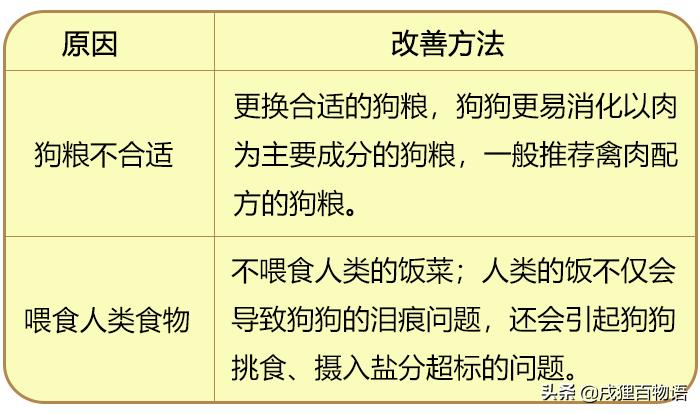 狗狗生病应该吃什么药最好,狗狗生病了不打算治了