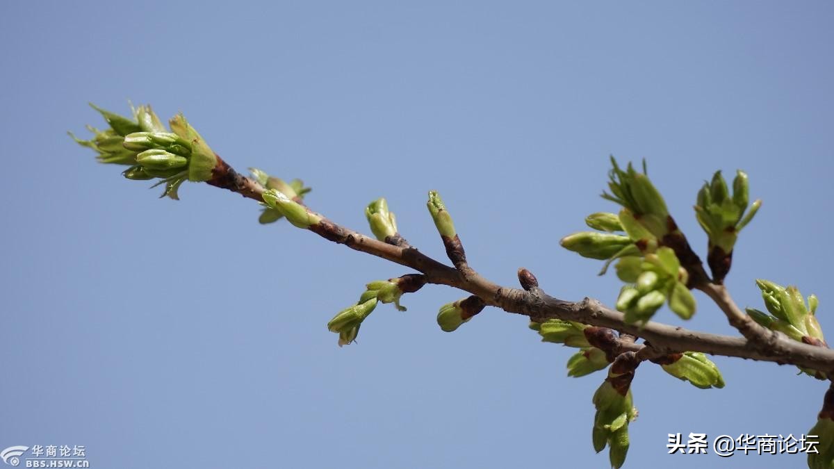 疫情下的城市生活纪录片,西安疫情每天新增记录图