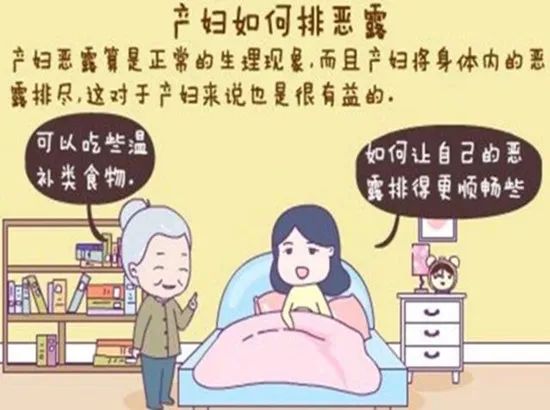 闽南月子排恶露,母羊产后恶露