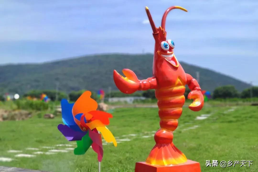 养虾人致富领头人,养虾带头人陶胜