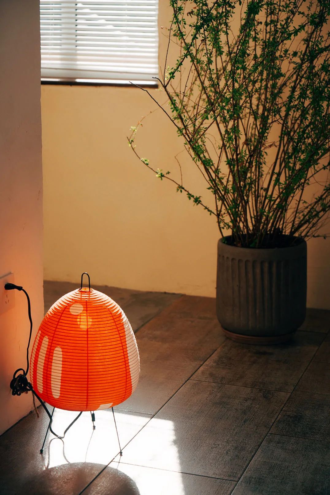 宁波必吃的晚餐排行榜,四天三夜美食攻略