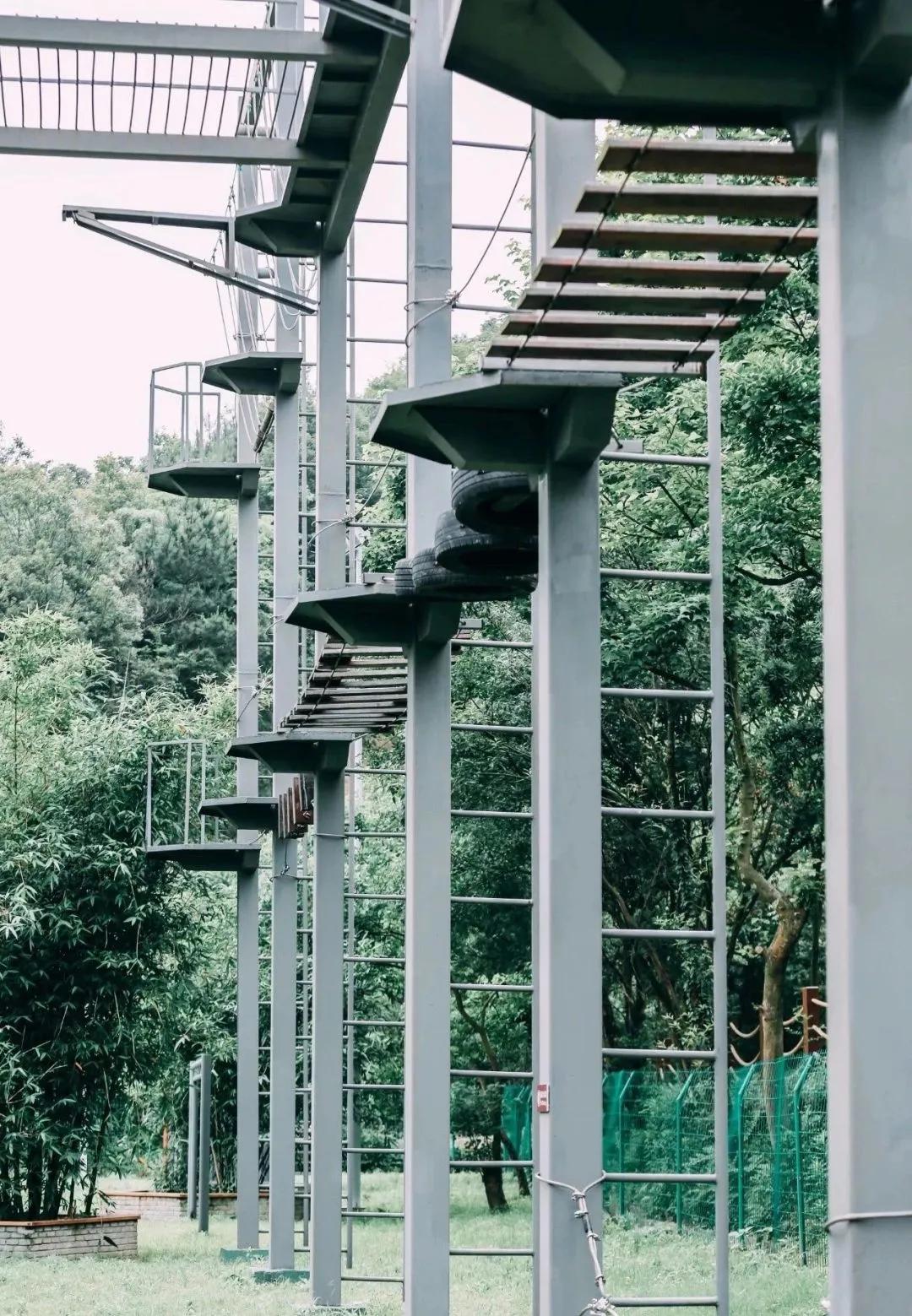 舟山直播带货了,舟山直播带货非常受欢迎