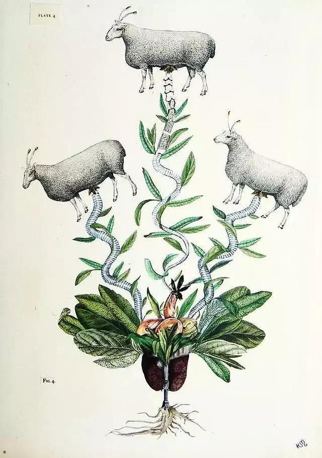 历史上存在的神奇动物,神奇的上古动物