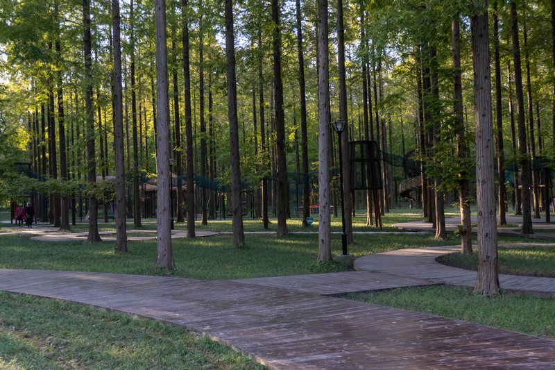 森林麋鹿公园,森林麋鹿