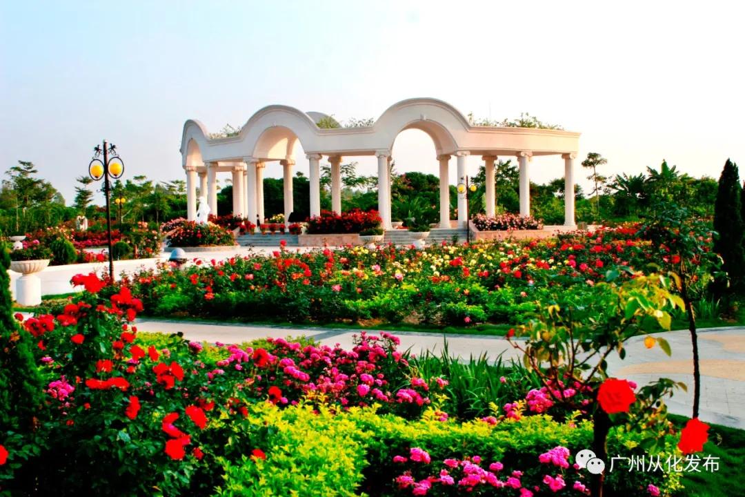 从化一日游攻略自由行最佳路线,从化元旦