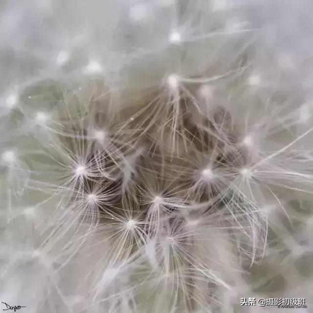 胎儿后期发育慢是什么原因,怀孕后期羊水少是什么原因