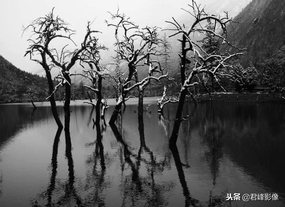 2018年最值得感动的时刻,对于2018你最大的收获是什么