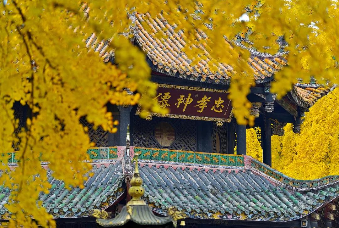 成都发现宝藏店,成都西门有哪些景点