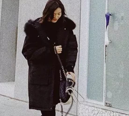 刘雯大包包推荐,刘雯同款豹纹包包