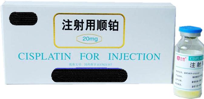 玄奘取经之路完整版,玄奘参透佛语恢复法力