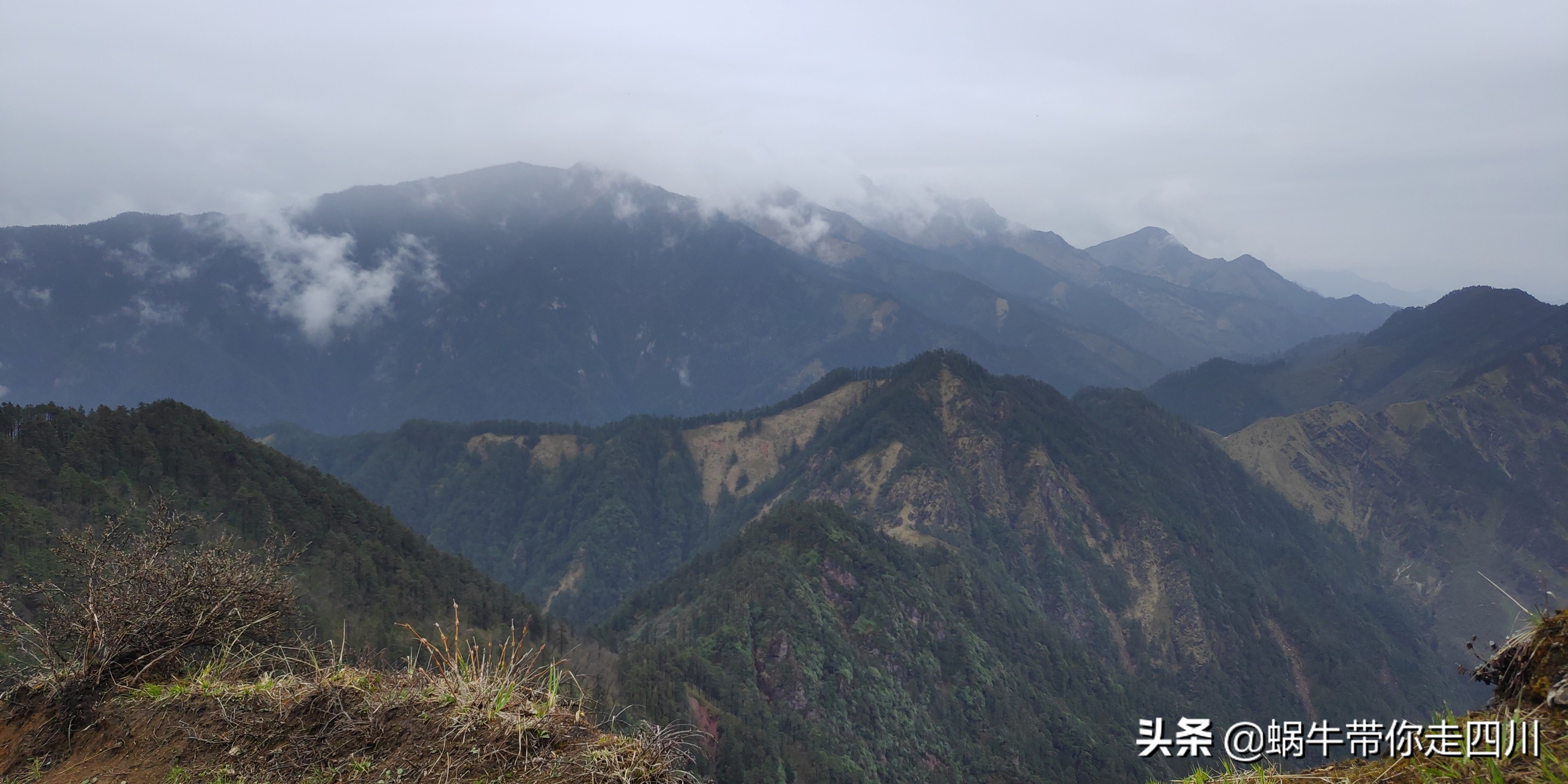 成都去西岭雪山两天一夜旅游团,成都出发雪山旅游