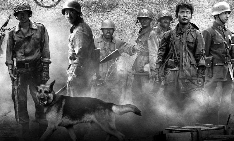 看完我的团长我的团感受,看完我的团长我的团11个小时