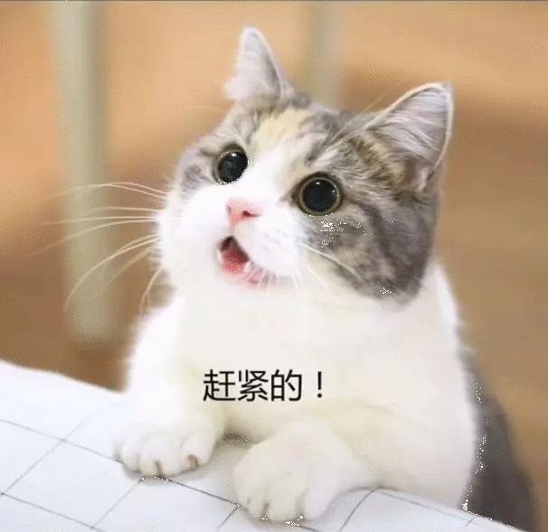 粤语中的“AAB”叠词，你认识哪一些？