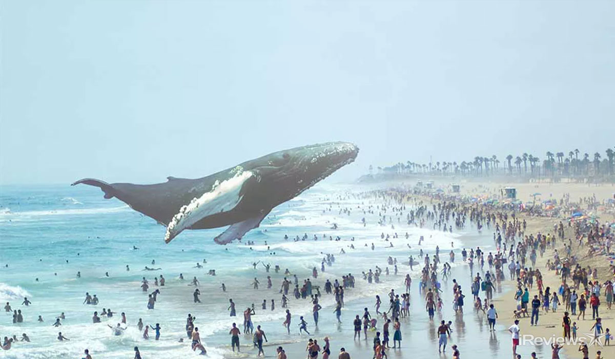 magicleap2现状,magicleap最新消息