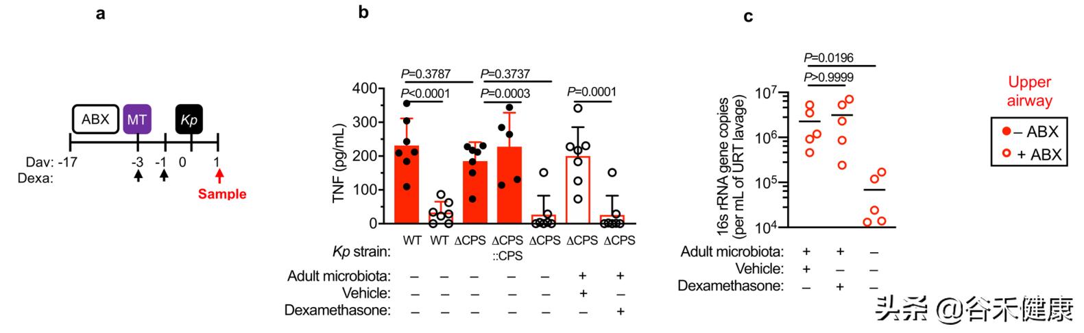 探索微生物奥秘演讲,微生物菌剂探索