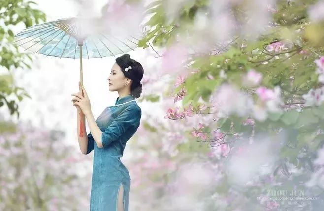 精品鉴赏图片,精品欣赏梅花