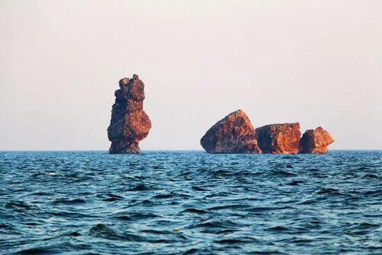 不去海边,不去海边哪里有贝壳