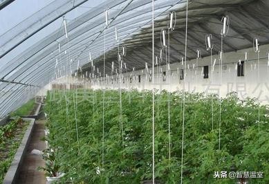 建一个智能温室栽培大棚需要多少钱?