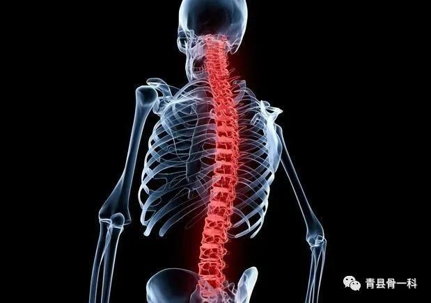 脊柱受伤了要怎么处理,脊柱受伤怎么判断有没有事