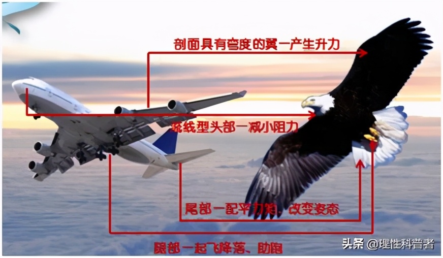 飞机流体压强讲解视频,流体压强与流速是飞机原理吗