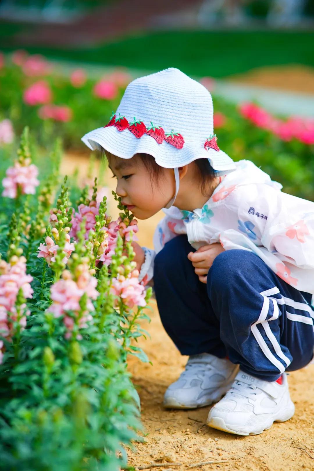 中山风景打卡点,广州秋游野餐好去处