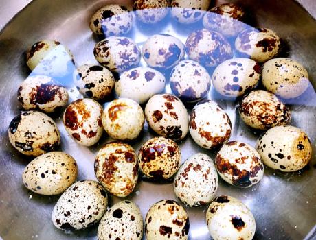 鹌鹑蛋怎么做才能好剥壳,怎样剥鹌鹑蛋又快又好