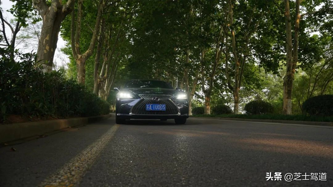 雷克萨斯追玛莎,雷克萨斯追爱