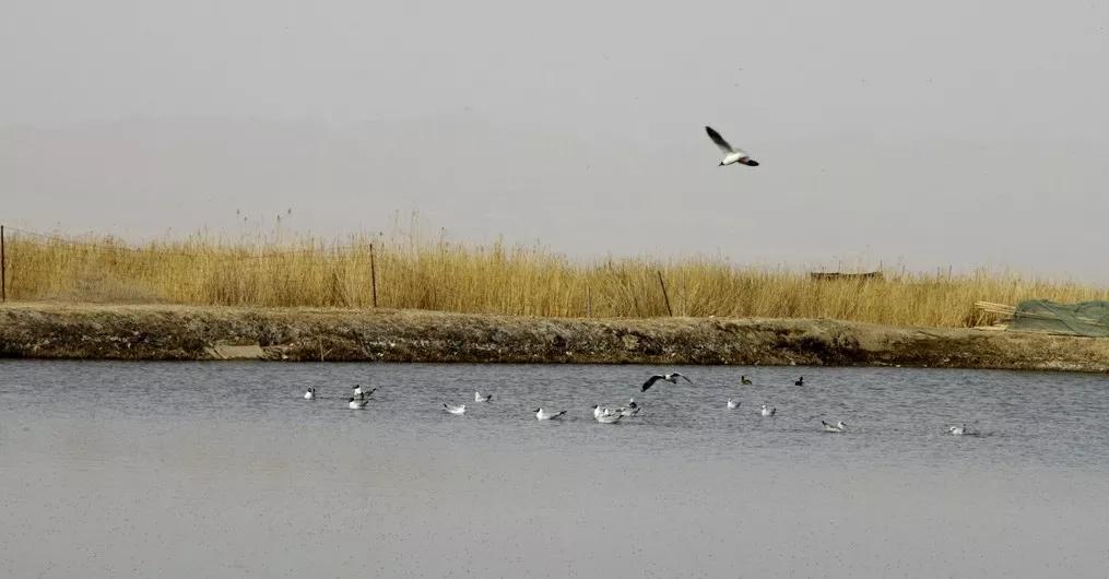 来感受大西北的异域风情,领略一下西北风情