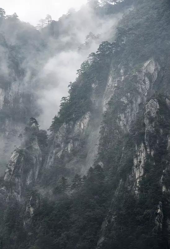 浙江各地市误解,你以为的临安vs实际上的临安